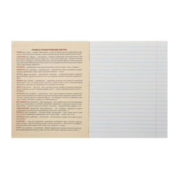 Тетрадь предметная Неон. Литература, 48 листов в линейку, со справочными материалами, блок офсет, обложка мелованный картон, УФ-лак - Calligrata фото 2