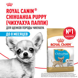 RC Для щенков Чихуахуа: до 8мес. (Chihuahua 30 puppy) 24380050R0