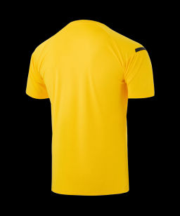 Футболка тренировочная JOGEL CAMP 2 Training Poly Tee, желтый/черный  фото 3