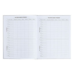 Дневник школьный для 1-11 классов «Аниме. Парень и небо», твёрдая обложка, глянцевая ламинация, 40 листов