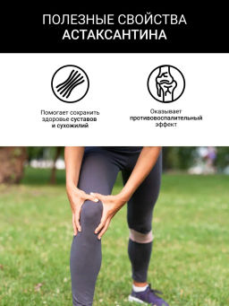 АСТАКСАНТИН Порошок из панциря креветки 150г (соста: порошок из панцирей креветок) - Sneko Gold фото 9