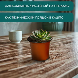 Цена за 40 шт. Горшок для рассады, 175 мл, d=8.5 см, h=7.5 см, мягкий пластик, терракот, Greengo  фото 6
