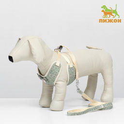 Комплект с мягкой шлейкой Веточки, размер М, поводок 120 х 1,5 см, ОГ 34-66 см, зеленый