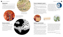 СуперТочки. Уникальная книга для развития креативности (тв.обл.). Моффетт П.