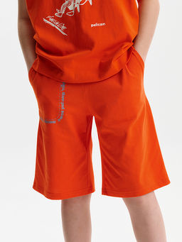 BFH3388//1U Шорты для мальчика