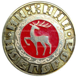 Значок Нижний Новгород