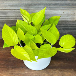 add97ad2d1f36cf79552286d0c04627f6ce3hhwemlmjtj7v