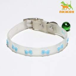 Ошейник Косточки, 28 х 1 см, ОШ 18-24 см, прозрачный/голубой