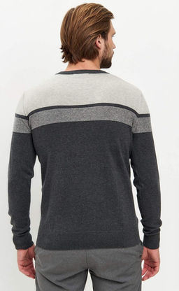 Пуловер мужской с V-образным вырезом F021-15-1723 d.grey - Fine joyce фото 6