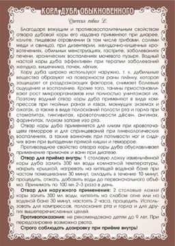 3 шт. Дуб (кора) - Мариславна фото 5