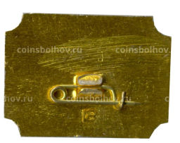 Значок Санкт-Петербург дворец-музей А.Д.Меншикова