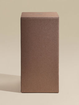 Бокал для шампанского SL-Home «Ёлочный», 250 мл, 6×23.6 см, стекло, прозрачный, зелёный