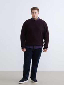 Bisiklet Yaka Erkek Triko Kazak