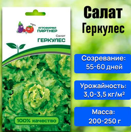 3157P Салат листовой ГЕРКУЛЕС 0,5гр