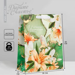 Цена за 2 шт. Пакет подарочный ламинированный, упаковка, «Лучшему учителю», M 30×26×9 см