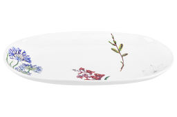 Блюдо 28,5*17*3 см "Ботанический атлас"
