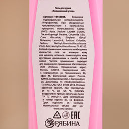 Гель для душа, 250 мл, аромат ягодного шоколада, AROMA SOUND by URAL LAB  фото 4