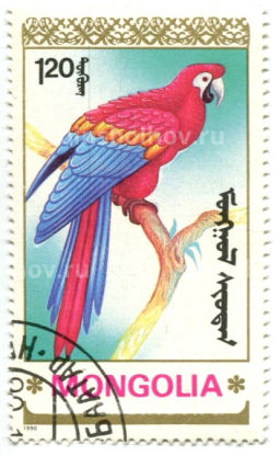 Марка 120 мунгу Попугаи 1990 год Монголия