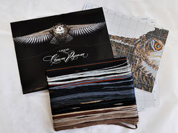 Набор для вышивания Сделай своими руками С-44 Сова(хлопок) 85 х 18 см