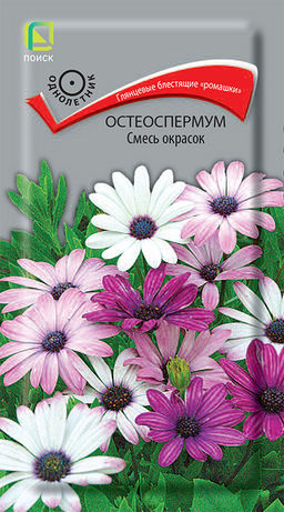Остеоспермум Смесь окрасок (ЦВ) (1) 0,1гр. - Поиск фото 3