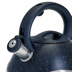 Чайник для плиты 3,0л капсулир дно ВЕ-0574 (в)