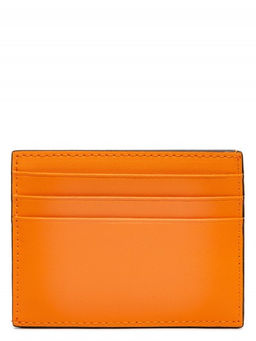 Карточница ZQ78-2515 mango - Eleganzza фото 3