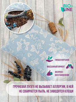 Подушка Bio-Line с лузгой гречихи PG40.60
