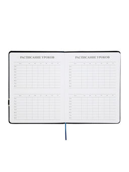 Дневник школьный 1-11 класс, лассе, обложка искуственная кожа серая, с хлястиком, с ручкой   1096906