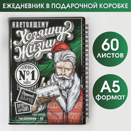 Ежедневник в подарочной коробке Хозяину жизни, А5, 60 листов, на гребне
