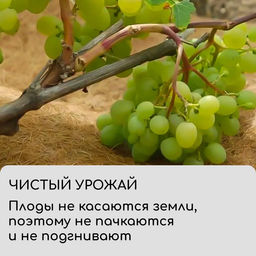 Круг приствольный, d=0.6 м, из кокосового полотна, набор 5 шт., «Мульчаграм»