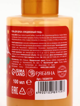 Подарочный набор новогодний в санях: гель для душа 2 шт., соль для ванны и мочалка, URAL LAB