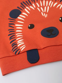 CRB wear / CWBB 90278-33-429 Комплект для мальчика (джемпер, брюки),терракотовый  фото 3