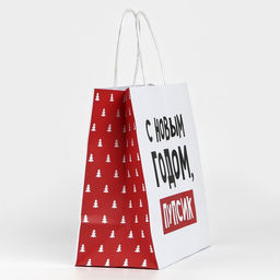 Цена за 2 шт. Пакет подарочный новогодний «С Новым годом, пупсик», 22×22×11 см