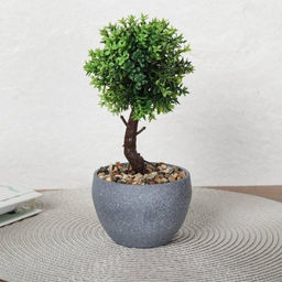 Цветочная композиция Зелень самшит 22 см / 9090-11 /уп 12/72/ - Галеонтрейд фото 3