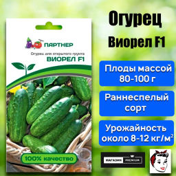 Огурец пчелоопыляемый Виорел - Партнер фото 2
