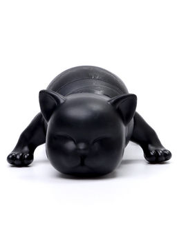 Развивающая игрушка Чёрный кот - Simaland фото 6