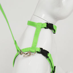 Комплект для кошек, ширина 1 см, ОШ 16,5-27 см, ОГ 21-35 см, поводок 120 см, зелёный - Пижон фото 5