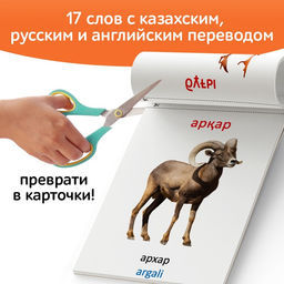 Книга по методике Г. Домана Дикие животные, на казахском языке - Буква-Ленд фото 4