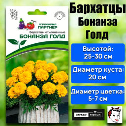 Бархатцы отклоненные Бонанза Голд - Партнер фото 2
