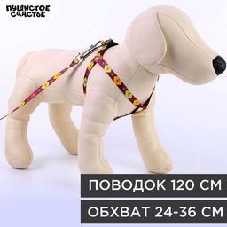 Комплект Пчёлы, шлейка 24-36 см, поводок 120х1 см