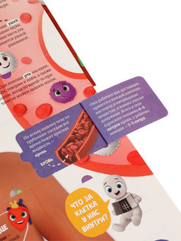 Книга с окошками «Как устроен человек?»