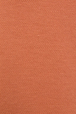 Erkek Гocuk GГl Kurusu Polo Yaka Basic TiЕГrt - U.s. polo assn фото 7