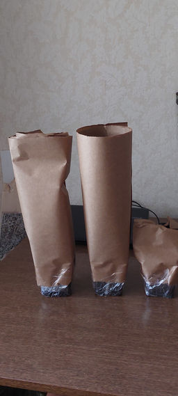 Медуница Смоки Блу