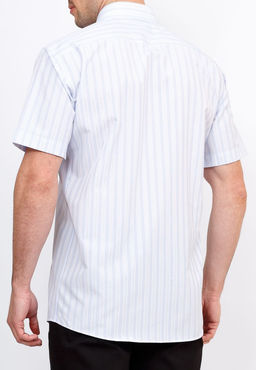 Сорочка мужская короткий рукав GREG Gb121/309/409/Z  фото 3