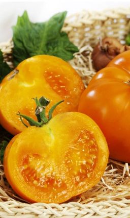 Томат В ДЕСЯТКУ Оптимальное соотношение урожайности, вкуса и неприхотливости!