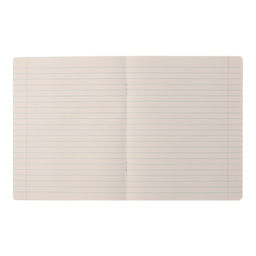 Набор тетрадей 12 листов в линейку Calligrata Pretty Girl, обложка мелованная бумага, серые листы, 10 шт.