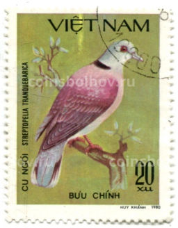 Марка Красногорлый голубь 1980 год Вьетнам