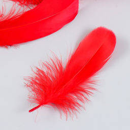 Набор декоративных перьев 160-190 мм (5 шт), красный