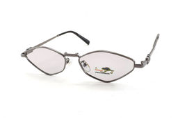 DISIKAER POLARIZED PHOTOCHROM 9007 C2 55-17-146