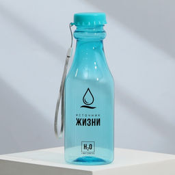 Бутылка для воды «Источник жизни», 550 мл